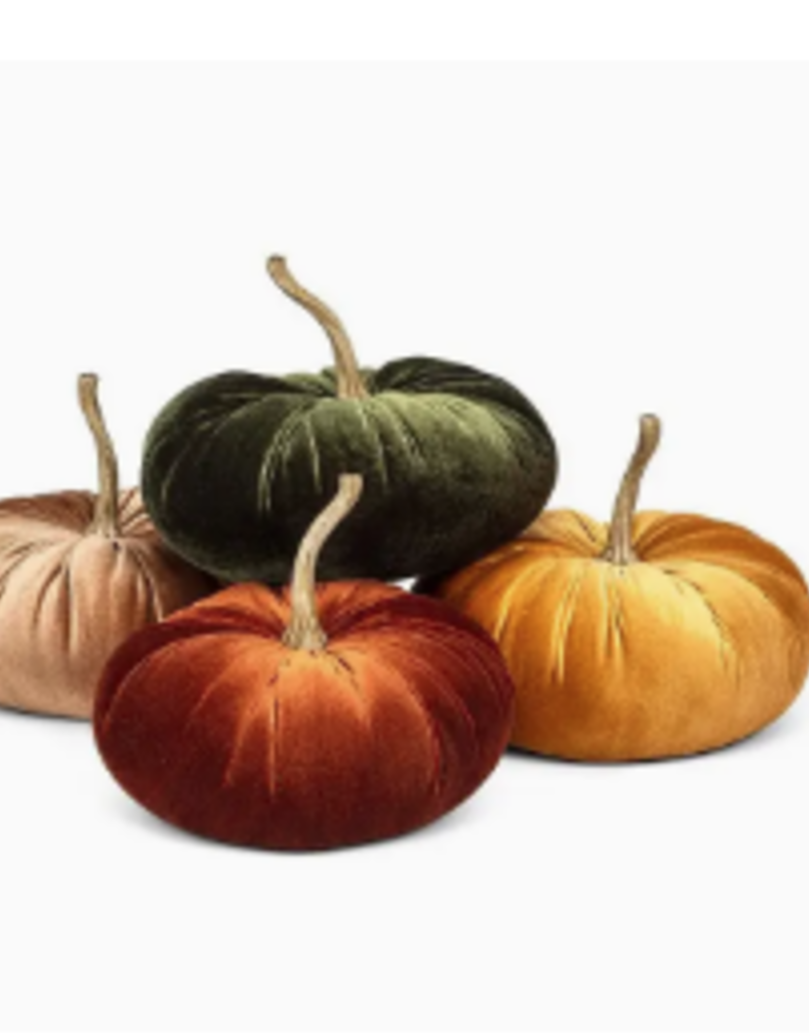 abbott Abbott Assorted Colors Large 10" Velvet Pumpkin Decor BH