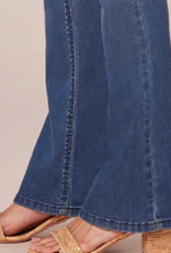 Democracy Democracy Blue Wash Denim High Rise Itty Bitty Boot  Jean AA