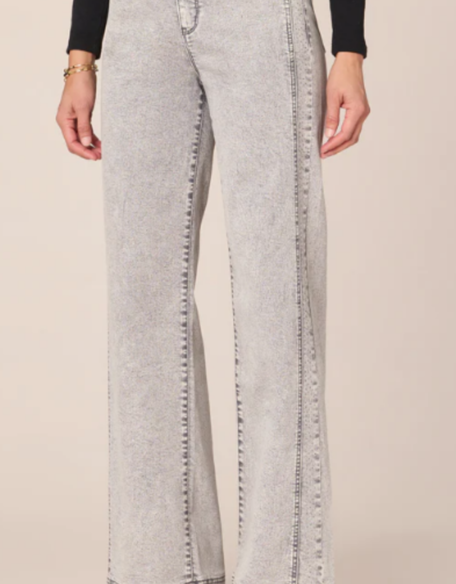 Democracy Democracy "AB" Solution Grey Sky Rise Wide Leg Denim AA
