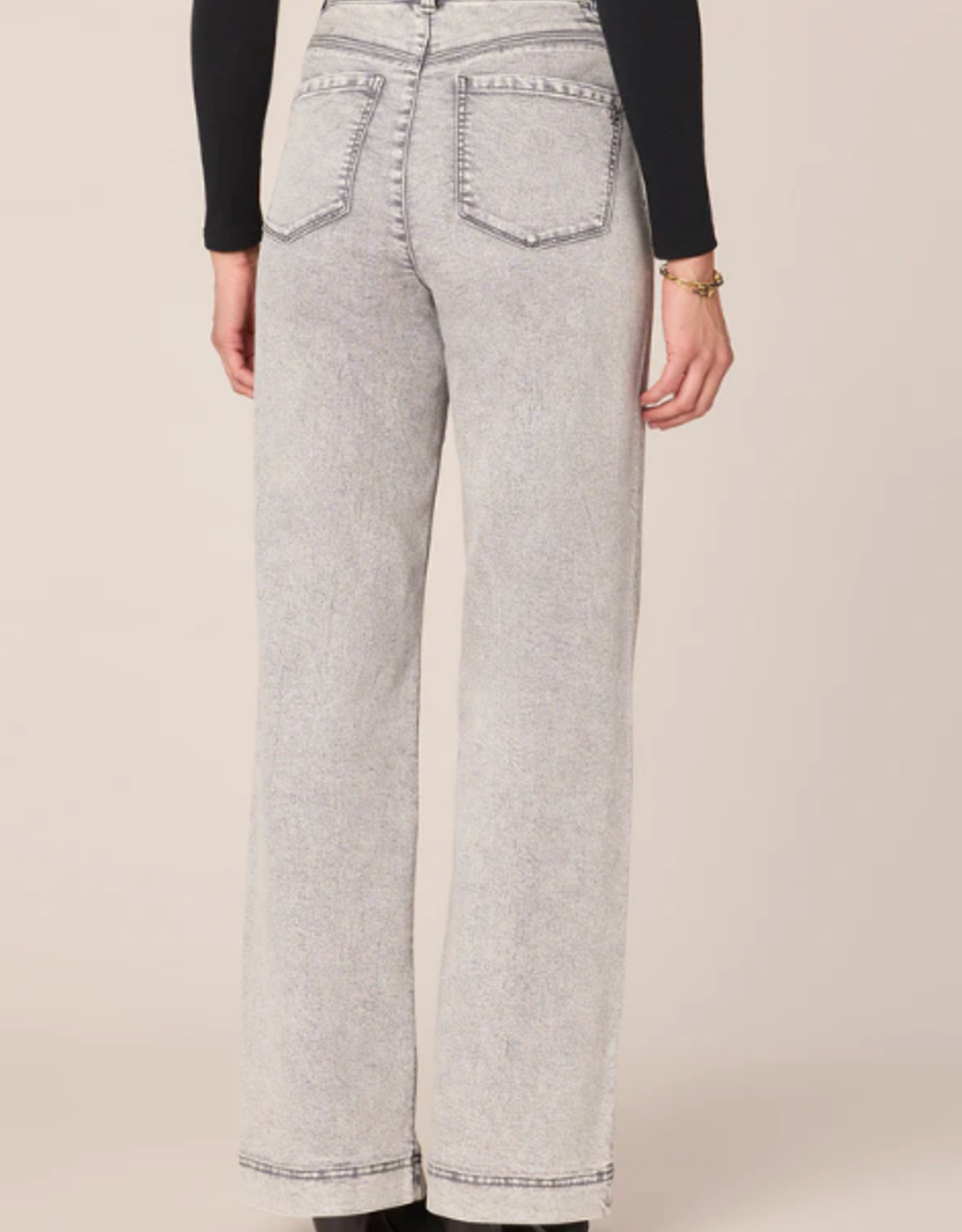 Democracy Democracy "AB" Solution Grey Sky Rise Wide Leg Denim AA