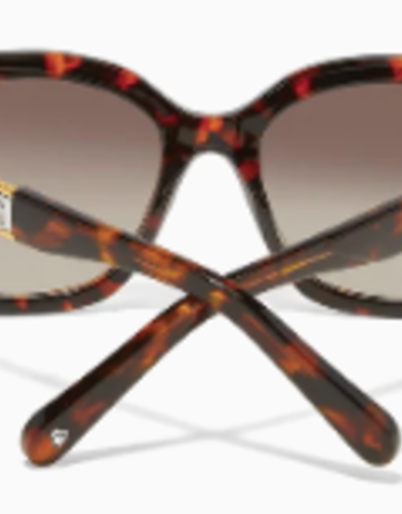 Brighton Brighton Intrigue Amber Sunglasses