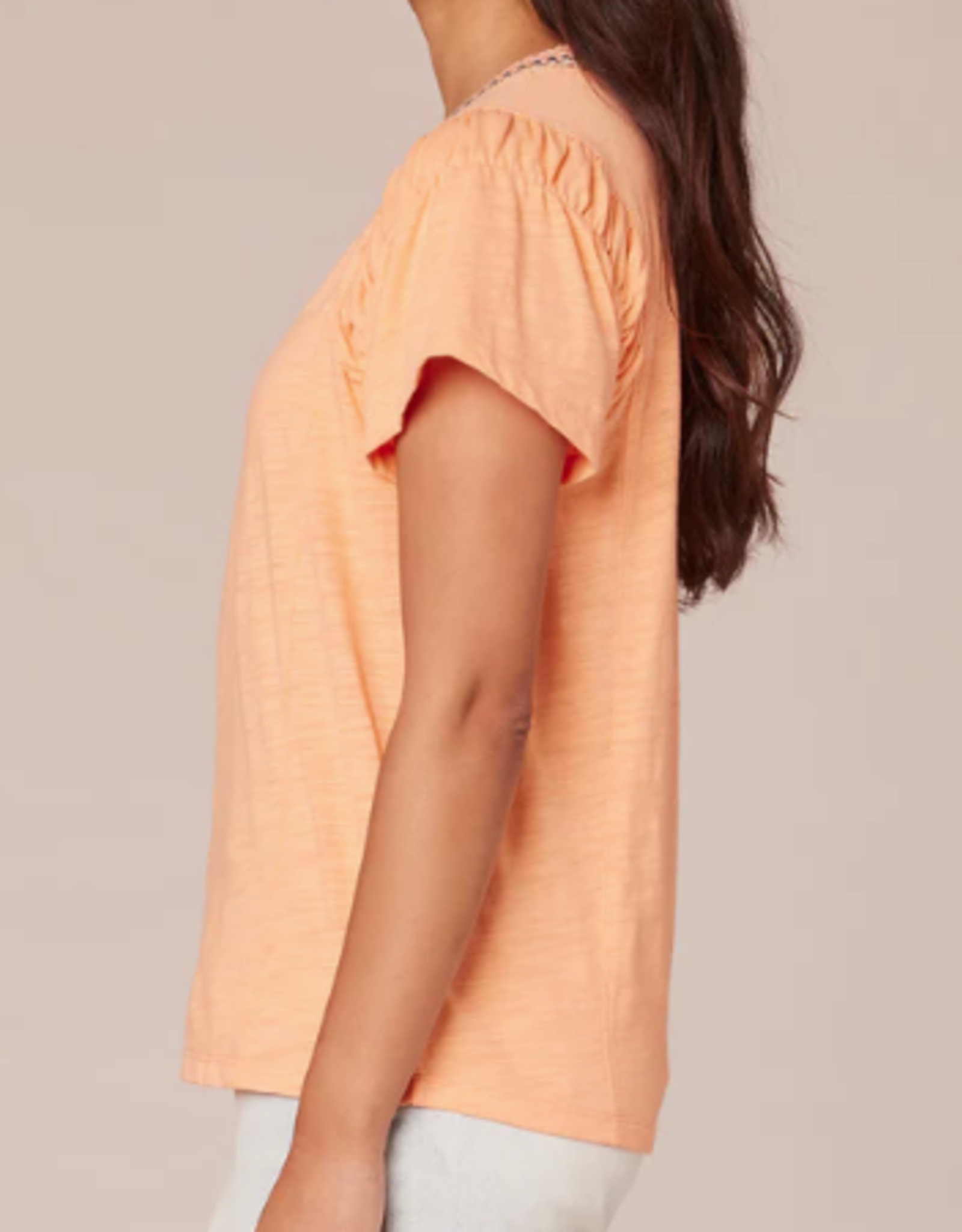 Democracy Democracy Petite Peach Fuzz Short Sleeve Scoop Crochet Neck W/ruched Arm Holes LE