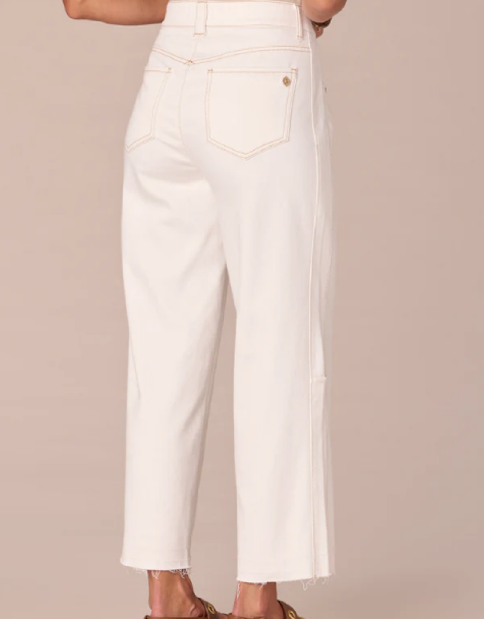 Democracy Democracy "Ab"solution Skyrise Relaxed Straight Leg Jeans  Fray Hem AA