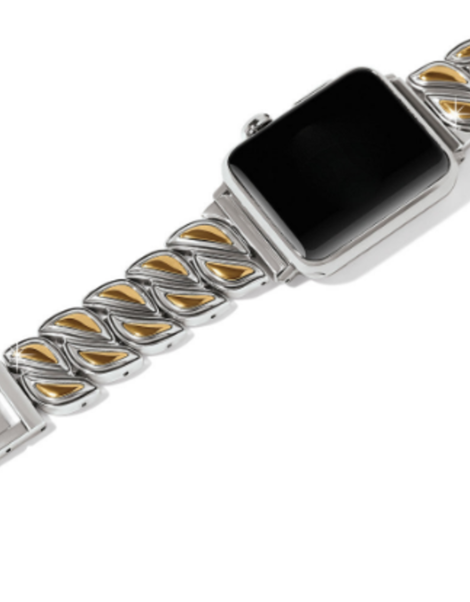 Brighton Brighton Coconut Grove  Watch Band HK
