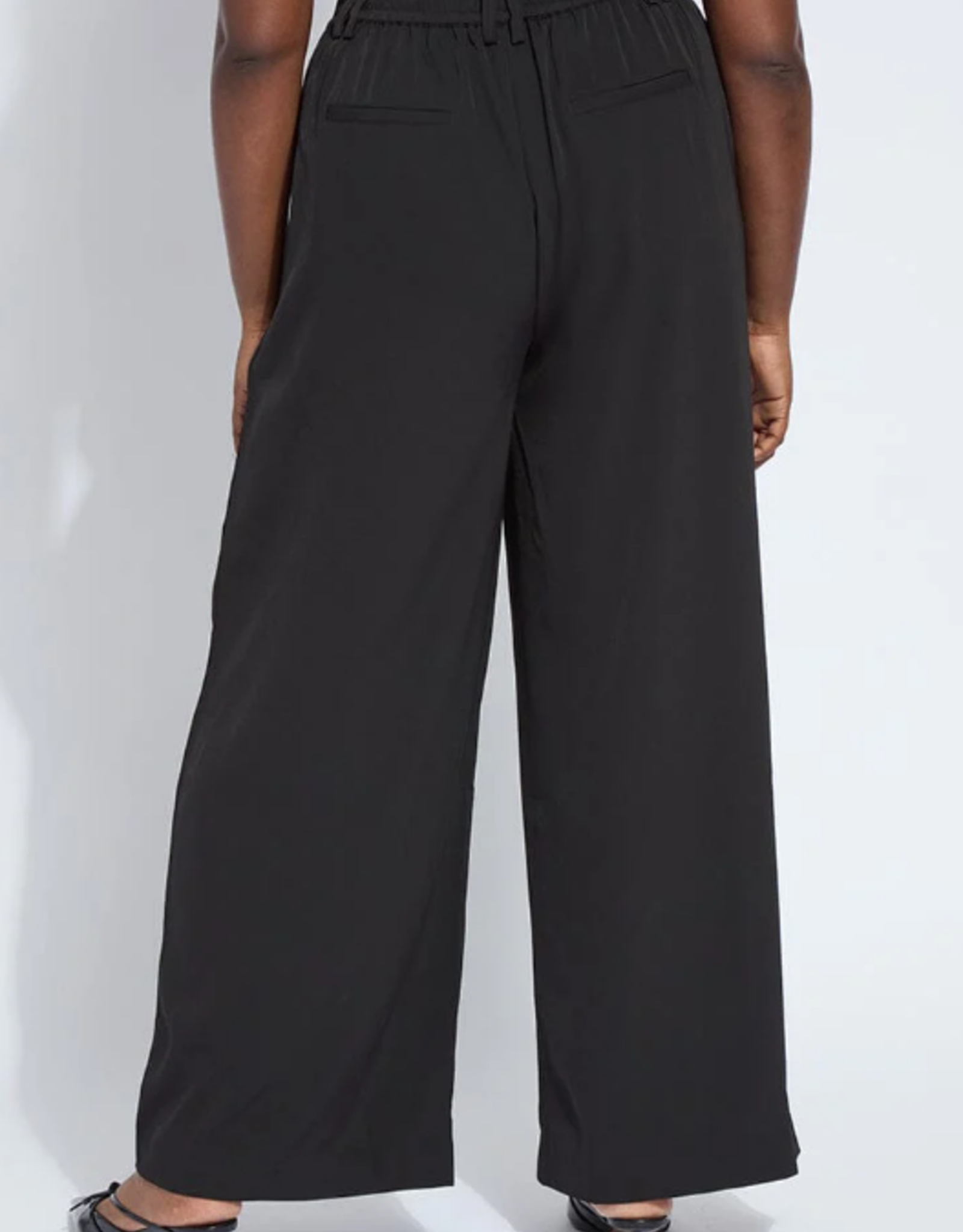 Lysse Lysse Black Pull-On Darcy Pleated Wide Leg Pant
