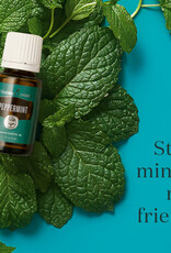 young living Peppermint Essential Oil