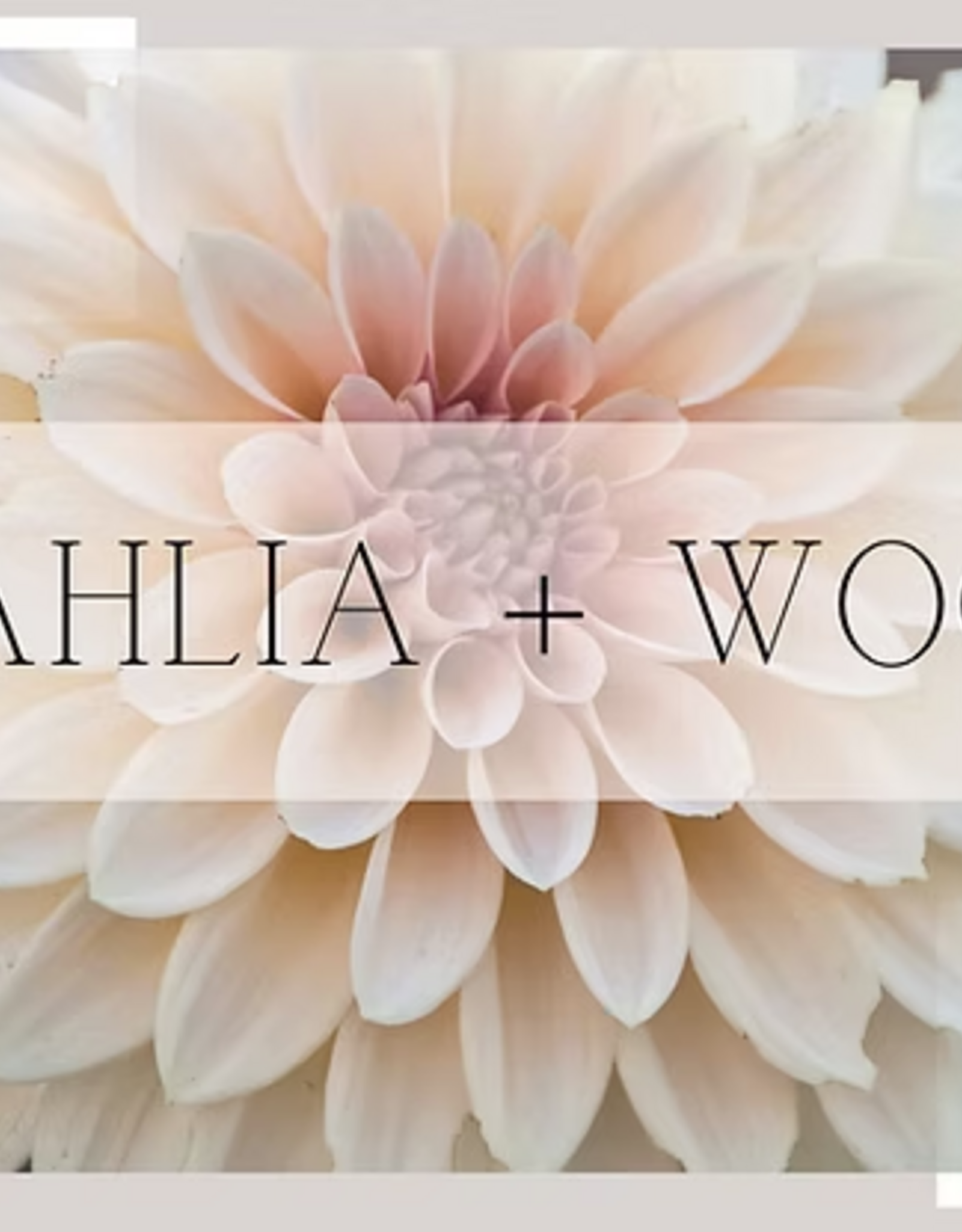 Love & Lotus Love & Lotus 2 oz. Hand & Body Cream