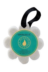 Spongelle Spongelle' Beach Grass