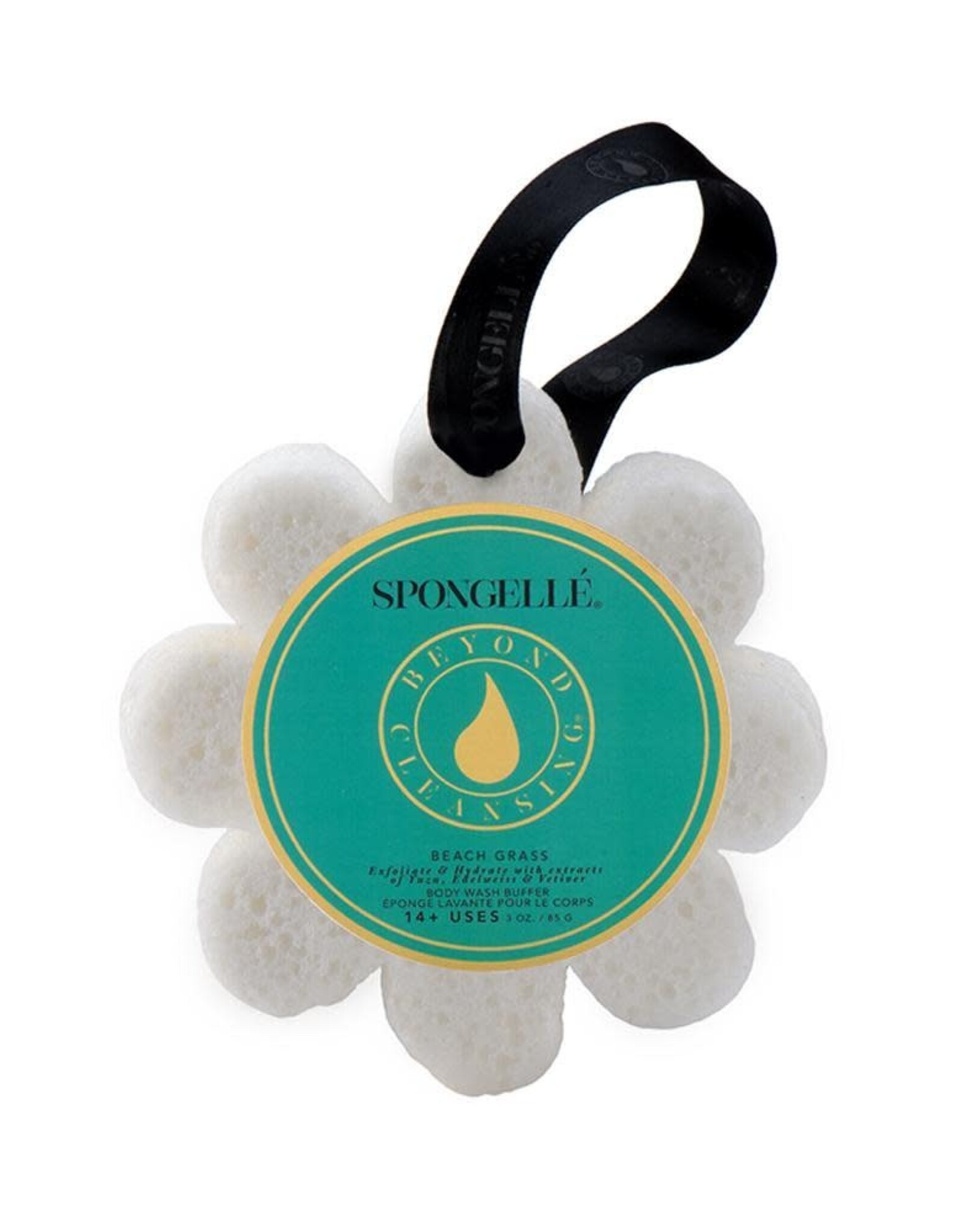 Spongelle Spongelle' Beach Grass