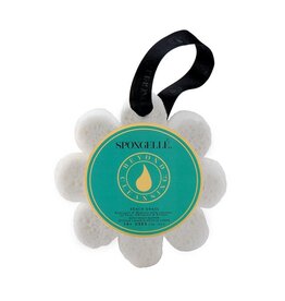 Spongelle Spongelle' Beach Grass