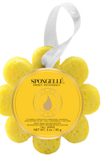 Spongelle Spongelle' Sweet Patchouli