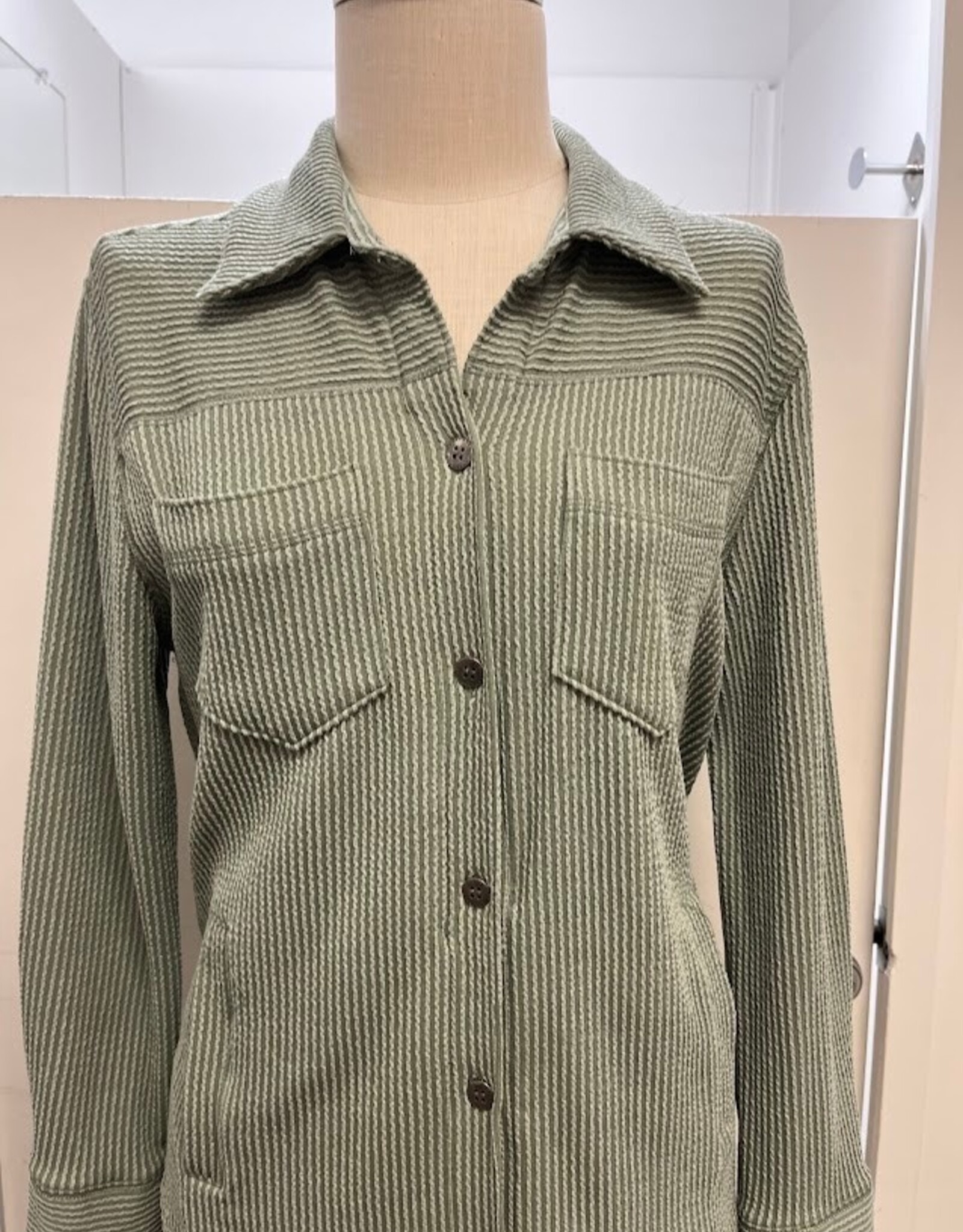 Southern Lady Southern Lady Misted Fern  L/S Button Up