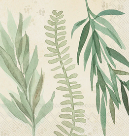 Boston International Leaf & Stem Leaves Cream Cocktail Napkin