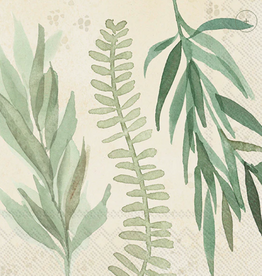 Boston International Leaf & Stem Leaves Lunch Napkin