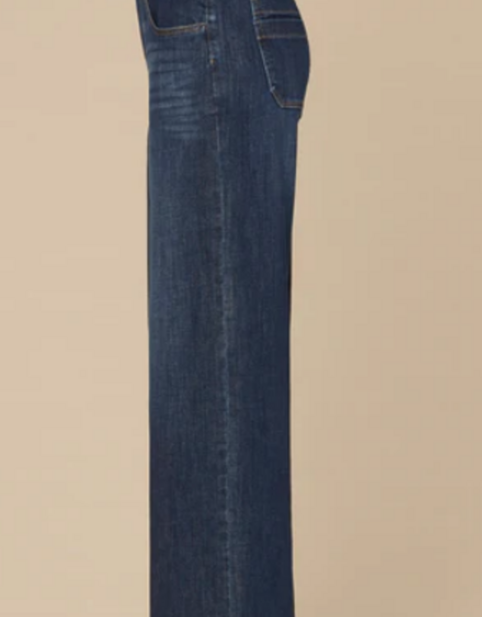Democracy Democracy Indigo Ultra Skyrise  Petite Wide Leg Jeans