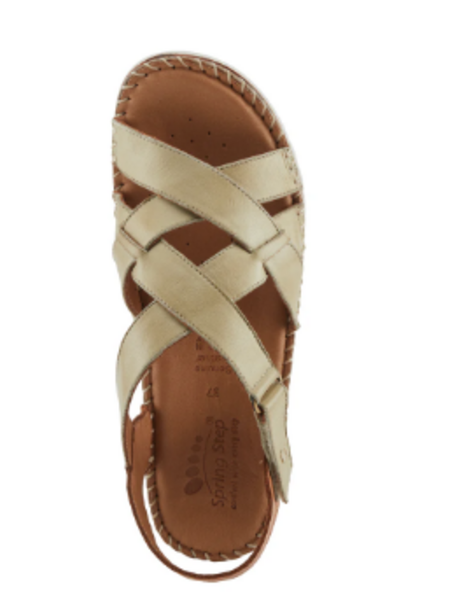 Spring Step Spring Step  Migula Olive Back Strap Sandal