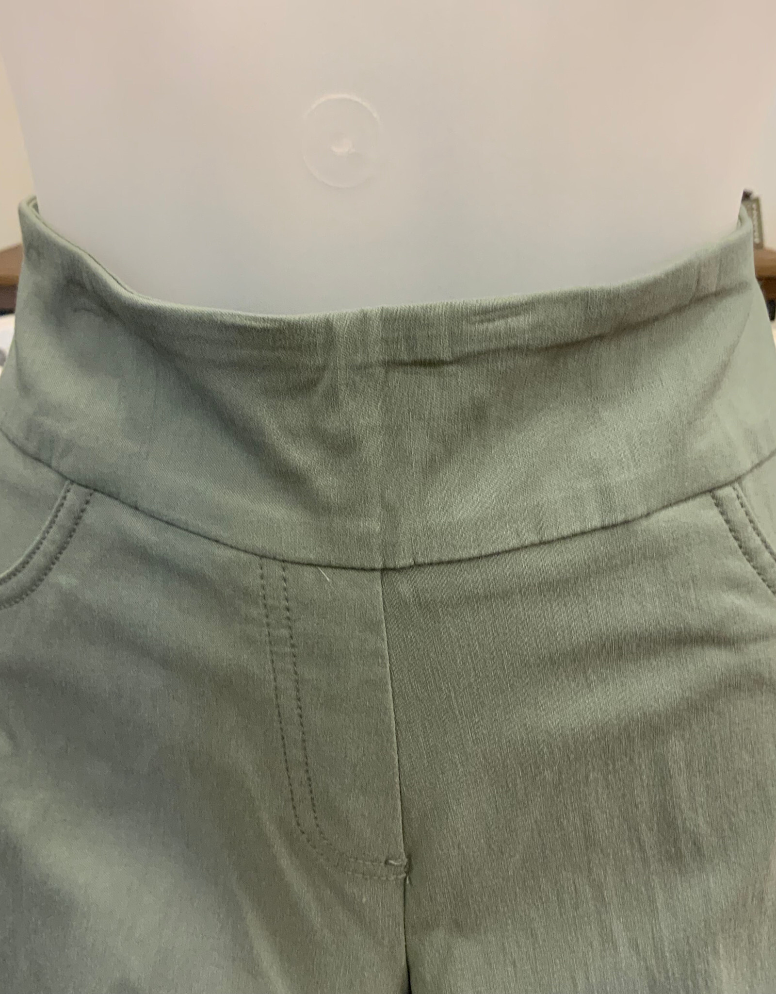 Ruby Rd Ruby Road Sage Solar  Millenium Tech Ladder  Petite Hem Capri