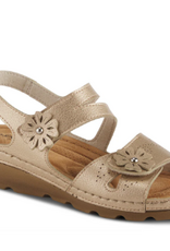 - FLEXUS PONCIA GOLD SANDAL