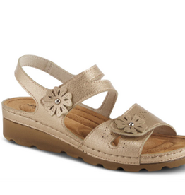- FLEXUS PONCIA GOLD SANDAL
