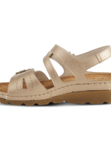 - FLEXUS PONCIA GOLD SANDAL