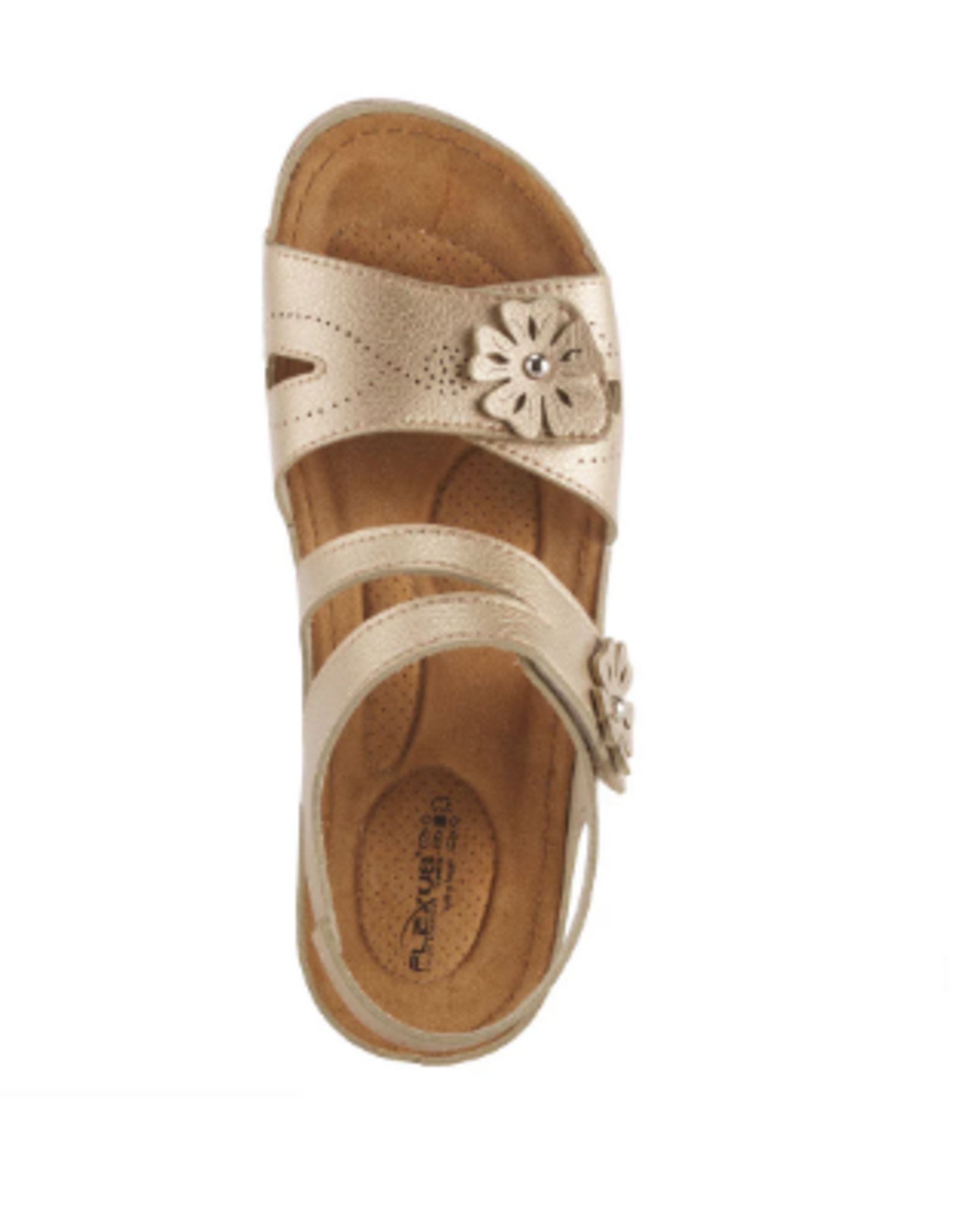 - FLEXUS PONCIA GOLD SANDAL