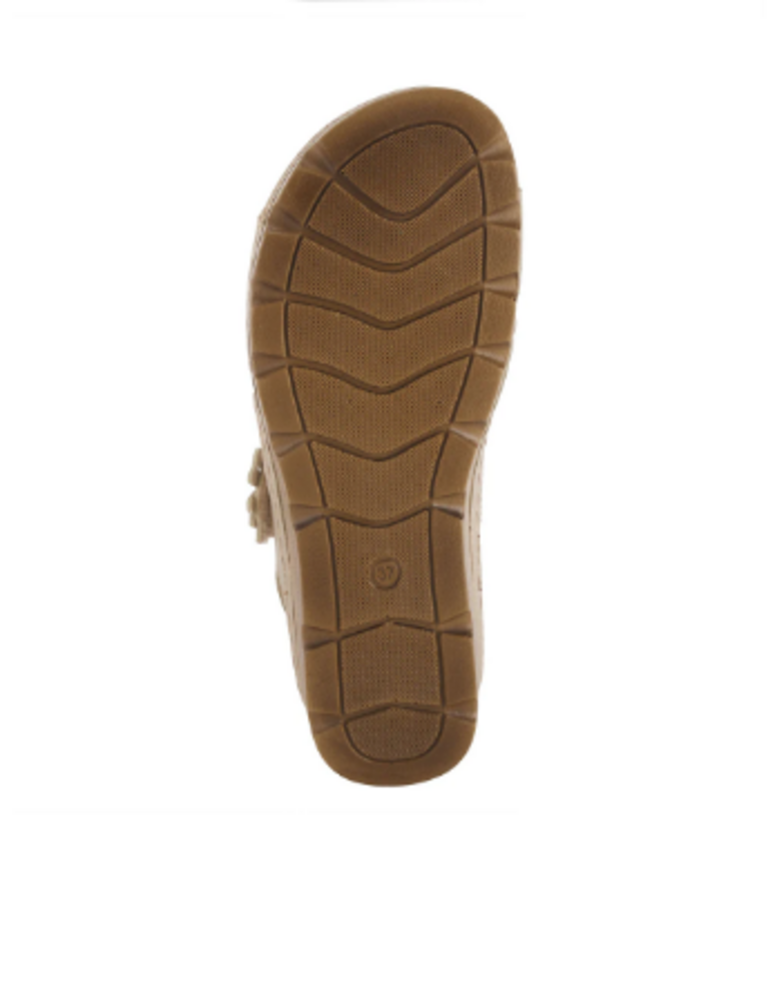 - FLEXUS PONCIA GOLD SANDAL