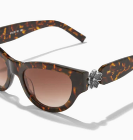 Brighton Brighton  Everbloom Sunglasses