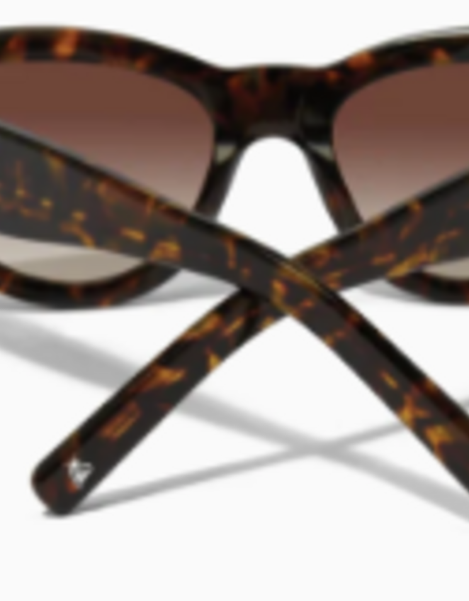 Brighton Brighton Everbloom Sunglasses