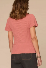 Democracy Democracy Short Flounce Sleeve Round Neck Peplum Hem Scallop Crochet