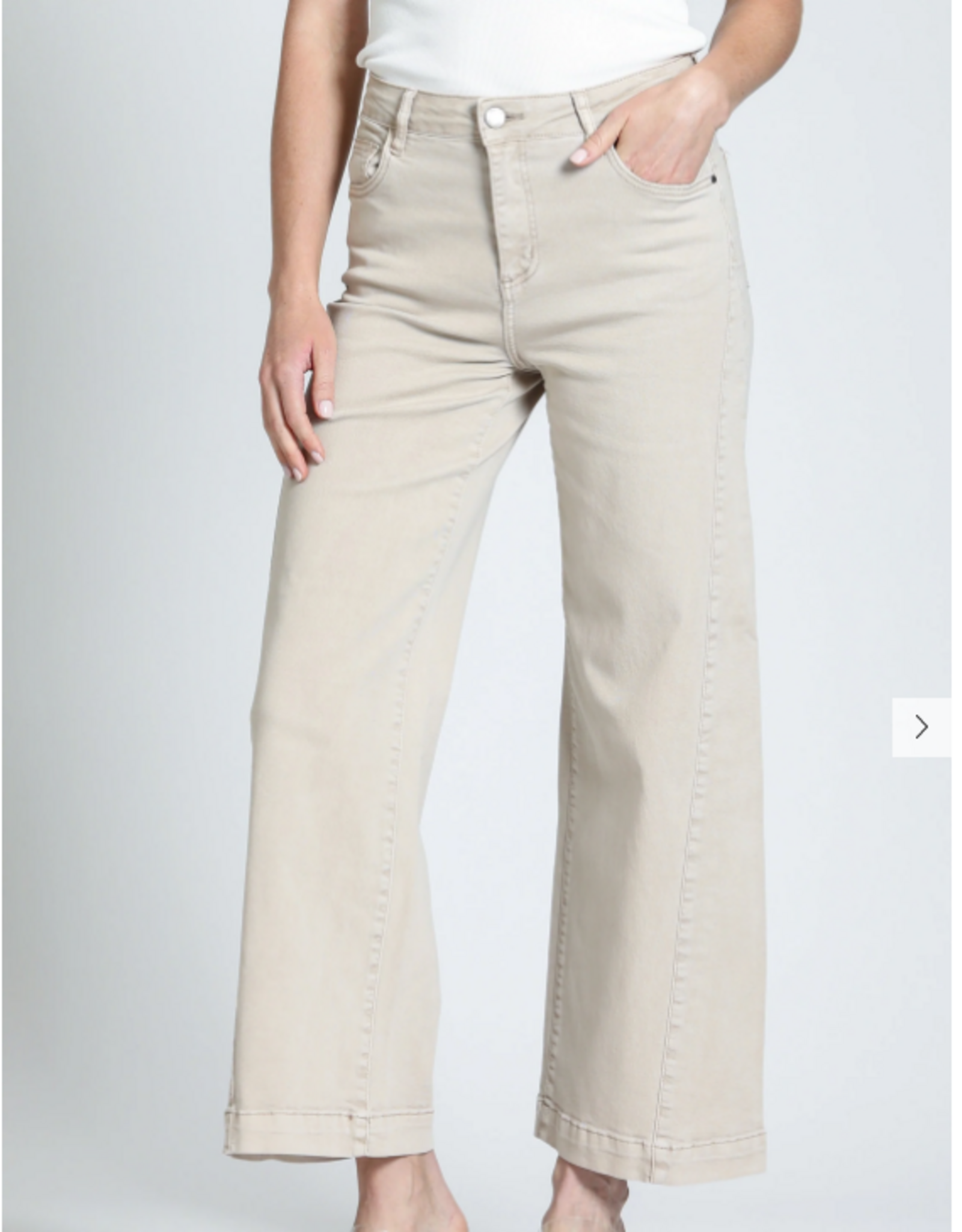 APNY APNY Antique Beige The Godet Wide Leg Jean