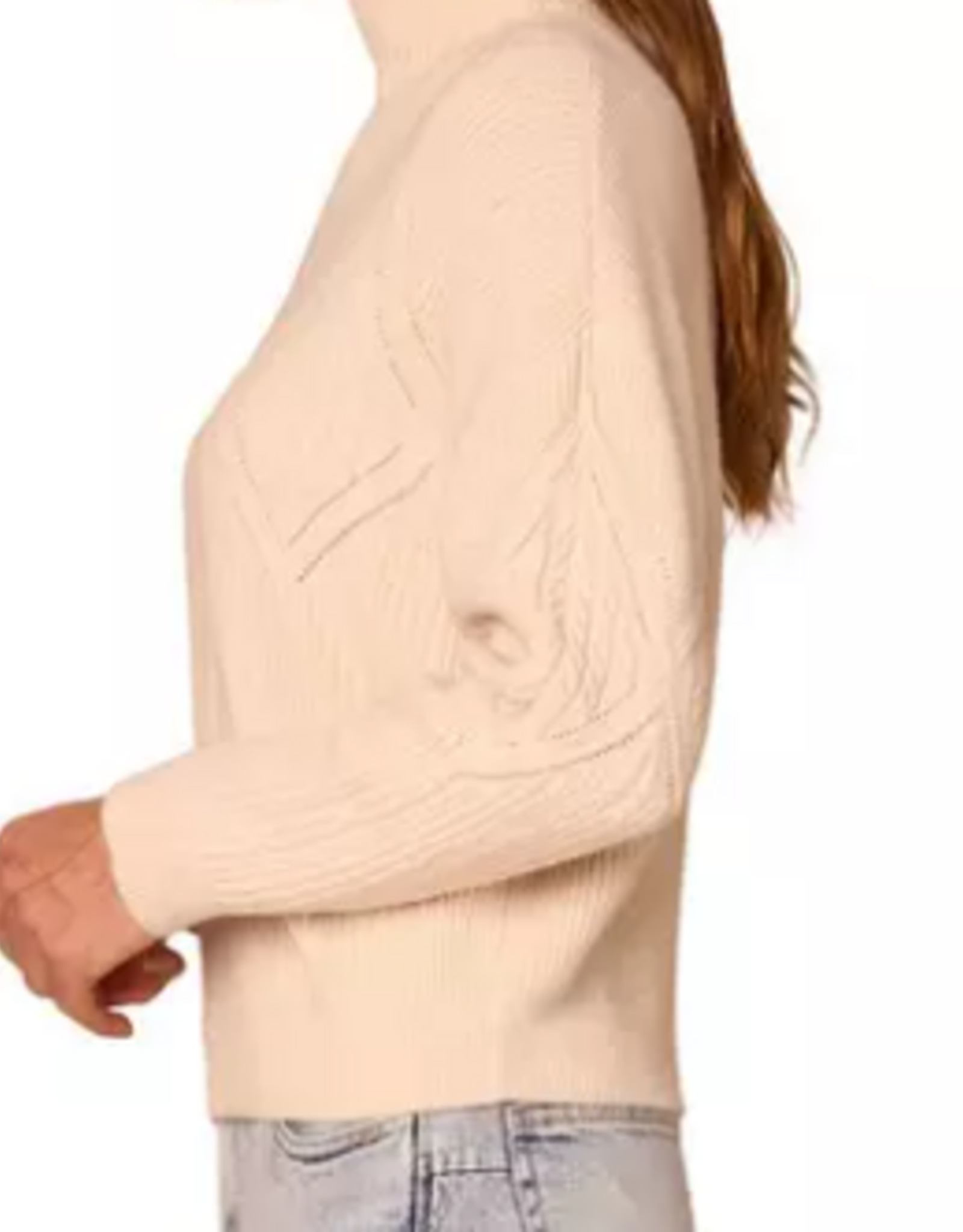 Democracy Democracy Petite Cream Argyle Mock Neck L/S Cable Sweater