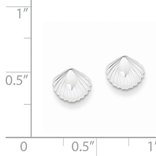 SS Shell Mini Earrings