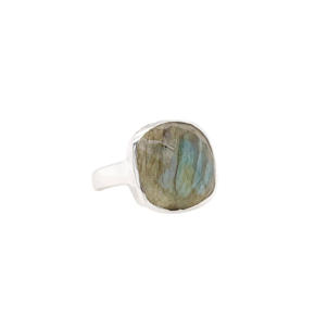 SS Checkerboard Labradorite Ring