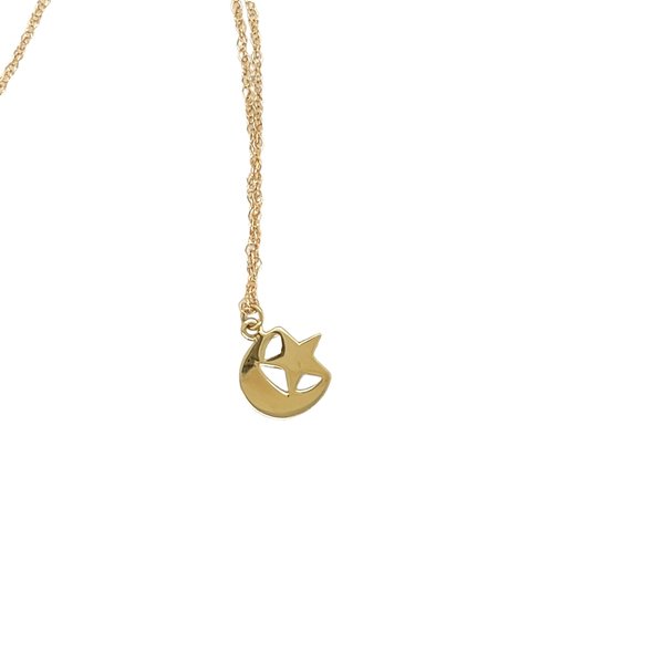 14KY Star & Crescent Moon Necklace with 18" Rope Chain