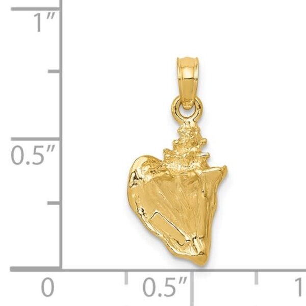14K Yellow Gold 3-D 20x11mm Textured Conch Shell Charm
