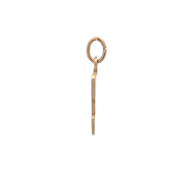 14K Yellow Gold Rainbow Row Charm RQC