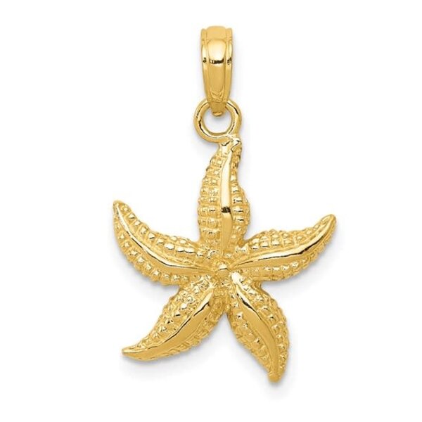 14K Yellow Gold Polished And Textured Starfish 22x15mm