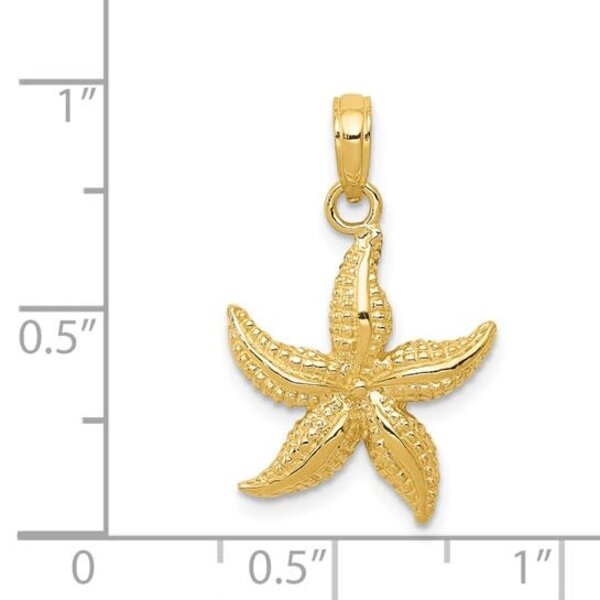 14K Yellow Gold Polished And Textured Starfish 22x15mm