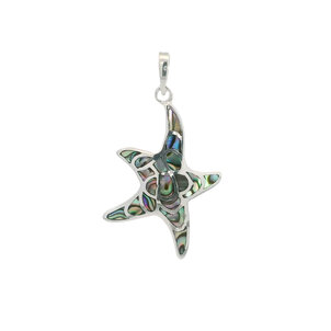 SS 45x25mm Abalone Starfish Pendant