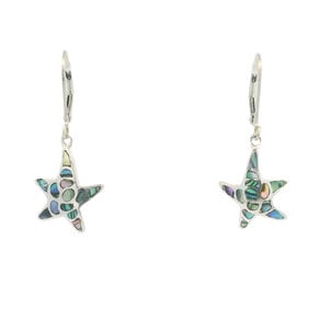 Sale SS 34x14mm Abalone Starfish Lever Back Earrings