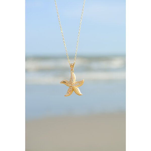 14K Yellow and White Gold 19x12mm Starfish Charm