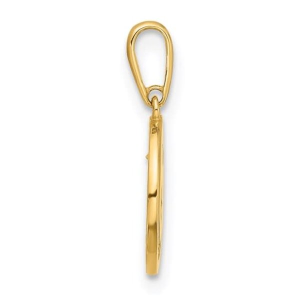14K Yellow Gold Cubic Zirconia Crescent Moon & Star Disc 16x10mm