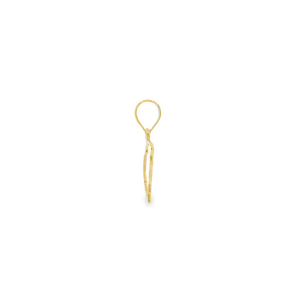 14K Yellow Gold South Carolina State Outline 15mm