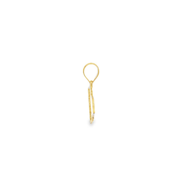 14K Yellow Gold South Carolina State Outline 15mm