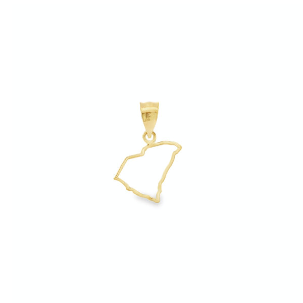 14K Yellow Gold South Carolina State Outline 15mm