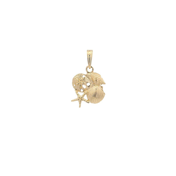 14K Yellow Gold 18x12mm Shell Cluster Charm