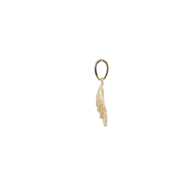 14K Yellow Gold 19x13mm Lion's Paw Shell Charm
