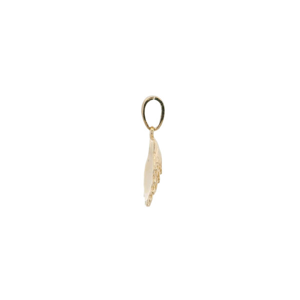14K Yellow Gold 19x13mm Lion's Paw Shell Charm