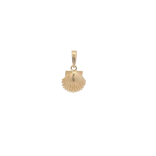 14K Yellow Gold Small Textured Scallop Shell Charm 17x10mm