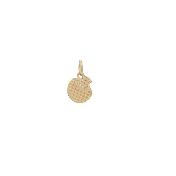 14K Yellow Gold 15x9mm Textured Flat Shell Charm